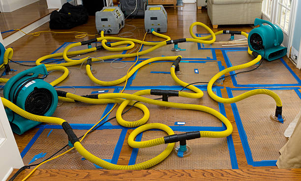 Professional Structural Drying And Dehumidification technician working in Inwood, FL